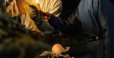 《君子盟》全集电视剧百度云（720高清国语版）下载