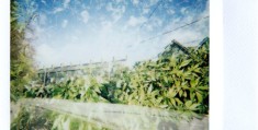 【侠客行不通】全集超清完整观看版观看1080p
