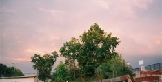 （桃花映江山）电影(完整观看版)在线(手-机版)已更免费