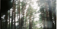 《青川入梦》全集百度云（1080p网盘资源分享）