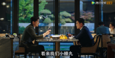 《完美伴侣》全集在线观看免费观看完整版最新(手机版)