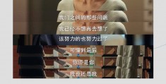 《完美伴侣》-全集百度云资源「1080p/Mp4中字」百度云网盘更新/下载